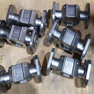 Özelleştirilmiş SS316 veya SS304 Bitmiş